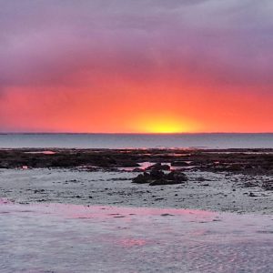 Halcyon Hardwicke Bay - Gallery (11)