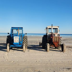 Halcyon Hardwicke Bay - Gallery (19)