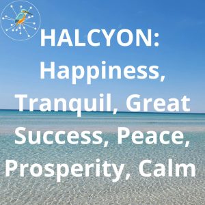 Halcyon Hardwicke Bay - Gallery (30)