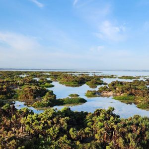 Halcyon Hardwicke Bay - Gallery (5)