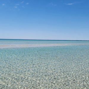 Halcyon Hardwicke Bay - Gallery (8)